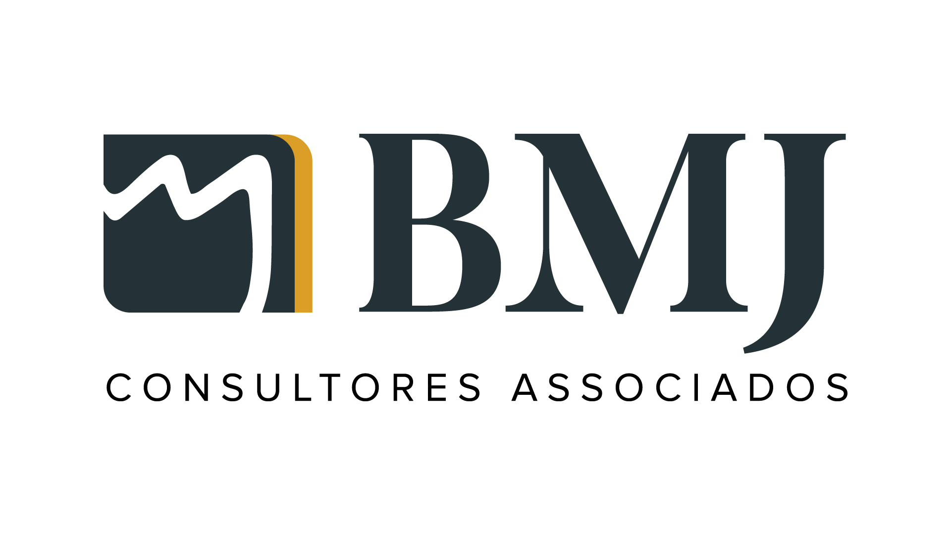 BARRAL MJ CONSULTORES ASSOCIADOS LTDA